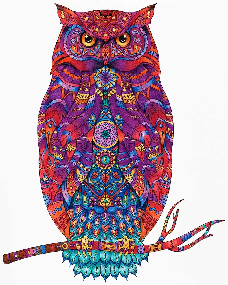Creative owl art